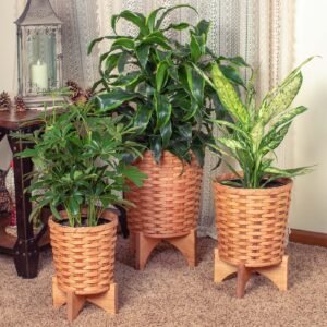 Alternative view of 3-Piece Basket Planter Set | Round Woven Wicker Plant Baskets