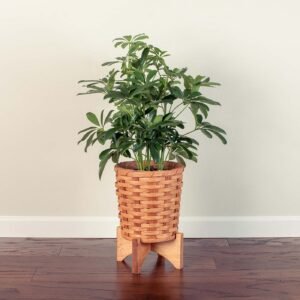 Alternative view of Medium Round Basket Planter | Woven Wicker Plant Pot w/Drainage